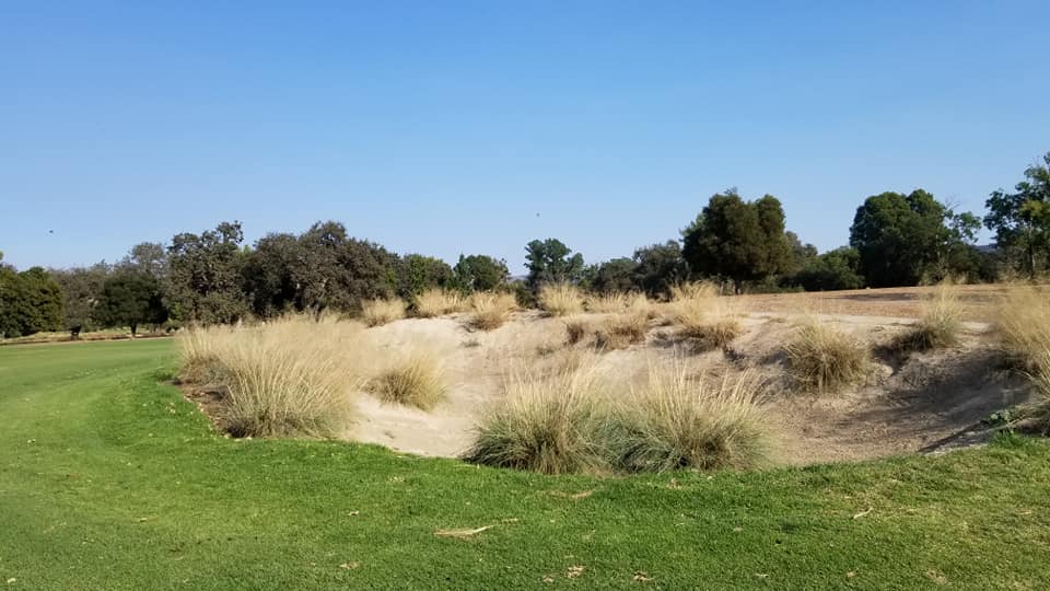 Los Robles Greens