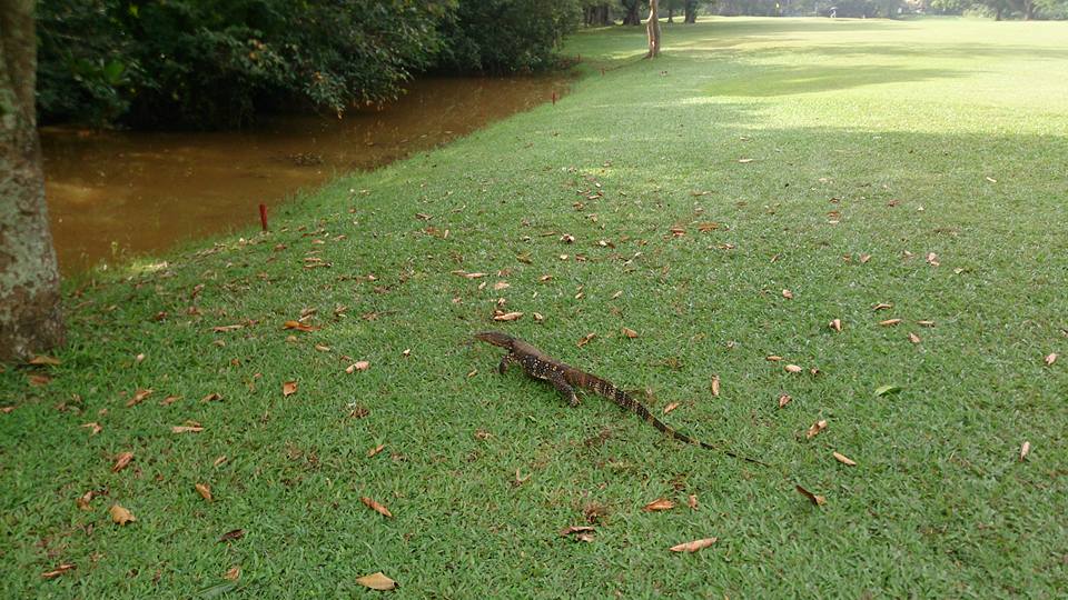 Royal Colombo Golf Club