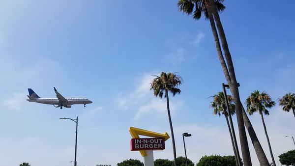 In-N-Out Burger