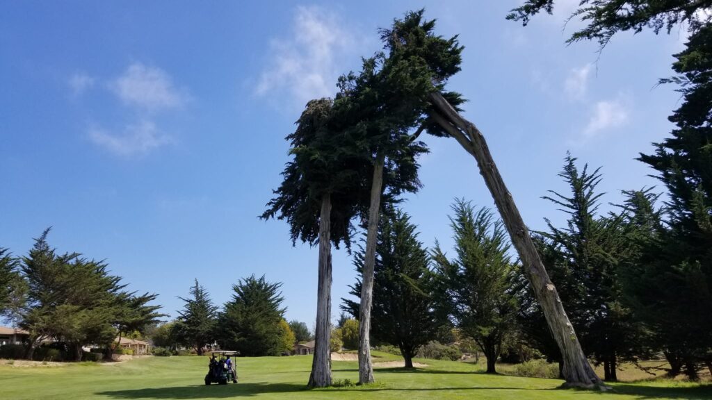 Cypress Ridge Golf Club