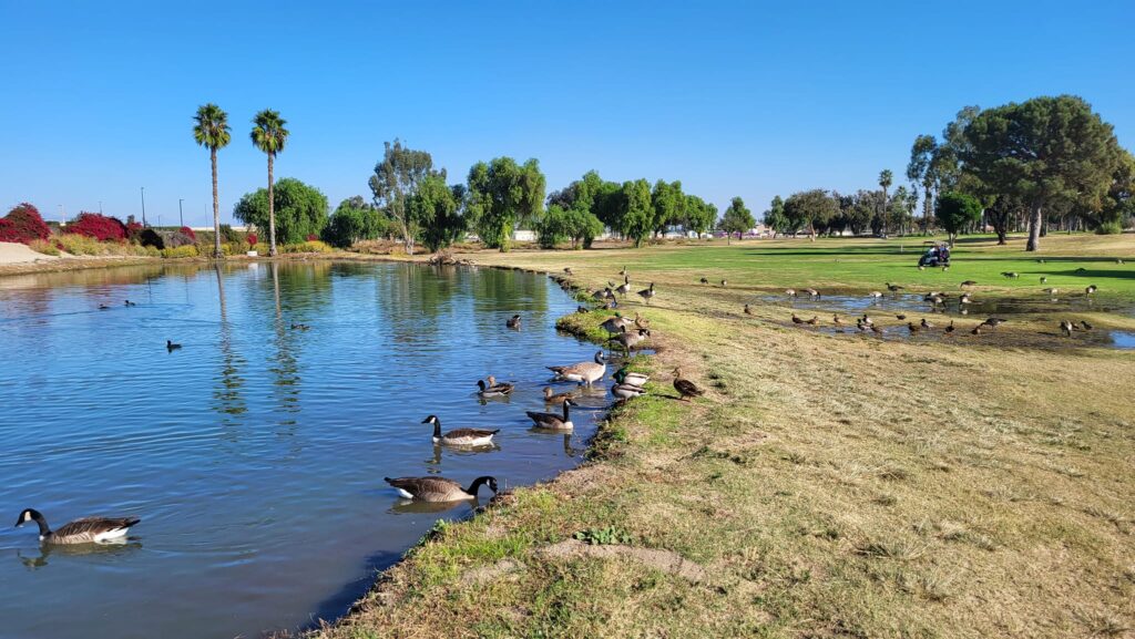 Whispering Lakes Golf Course