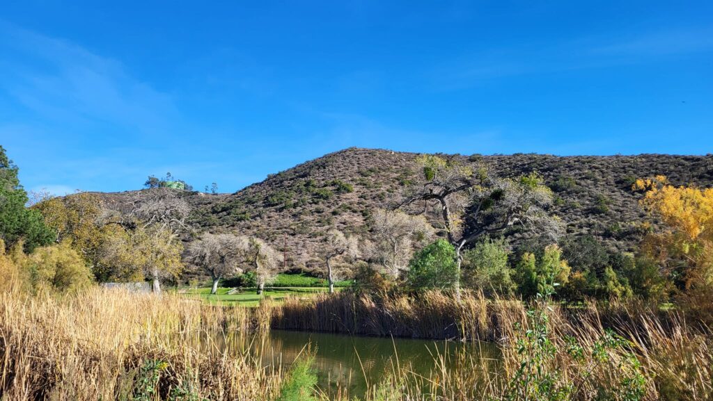 Cottonwood Golf Club