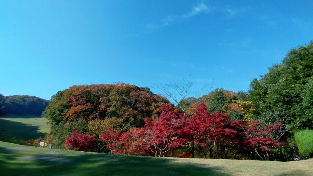 Yorii Country Club　寄居カントリークラブ