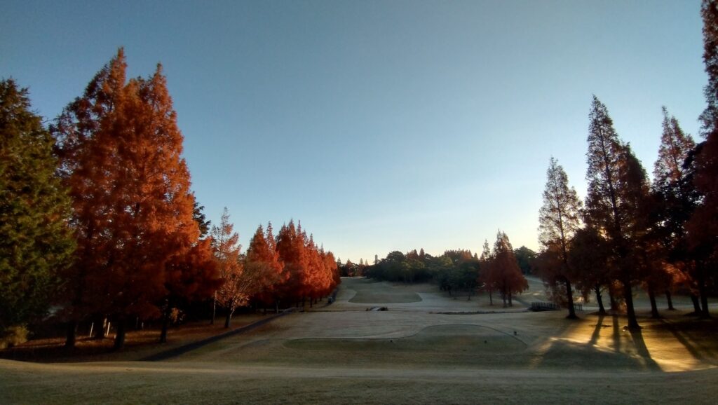 Central Golf Club　セントラルゴルフクラブ